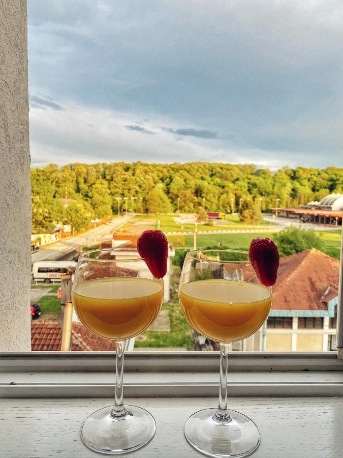 Apartmani Banja Spa Врнячка-Баня Екстер'єр фото